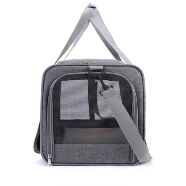 Discovery Edition - Cat Only - Image 10