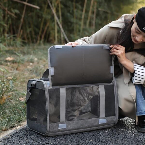 Discovery Edition - Cat Only - Image 5