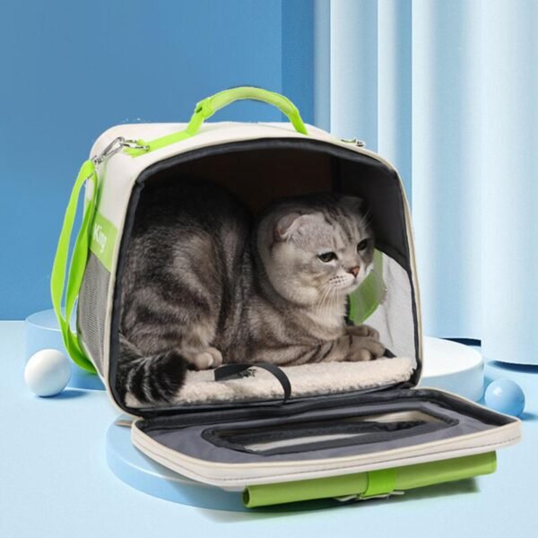 City Travel Edition - Cat Only - Image 4