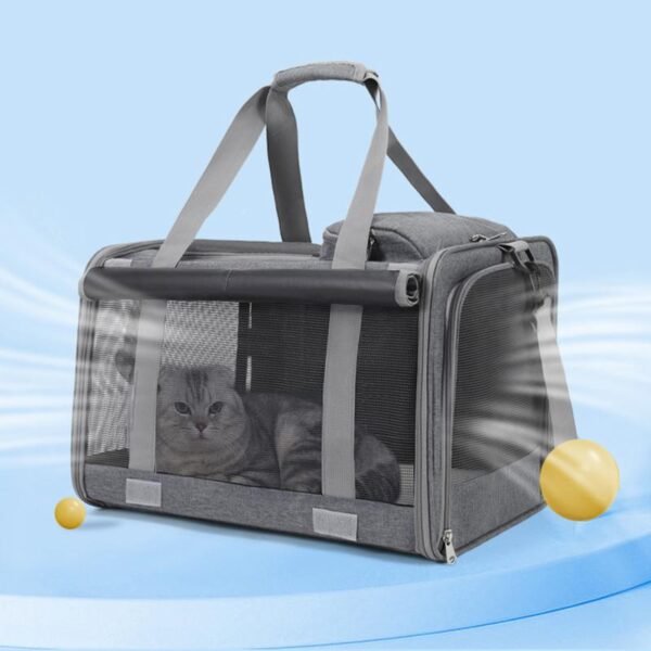 Discovery Edition - Cat Only - Image 6