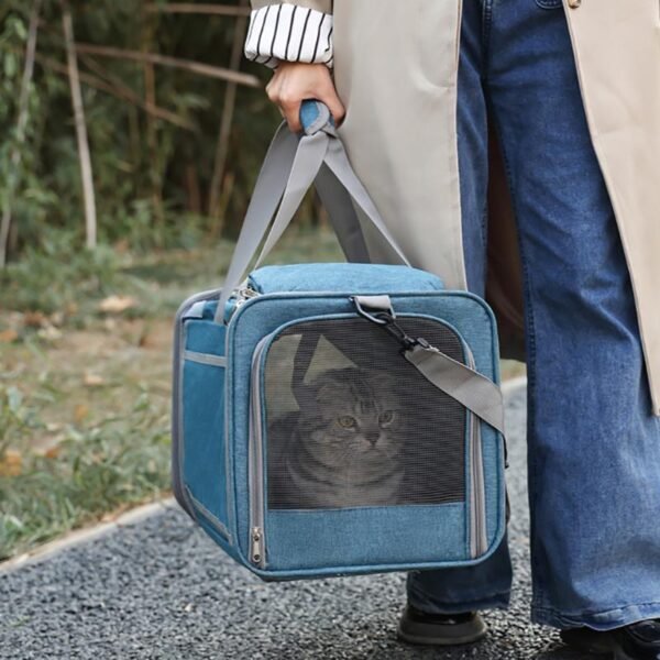 Discovery Edition - Cat Only - Image 3